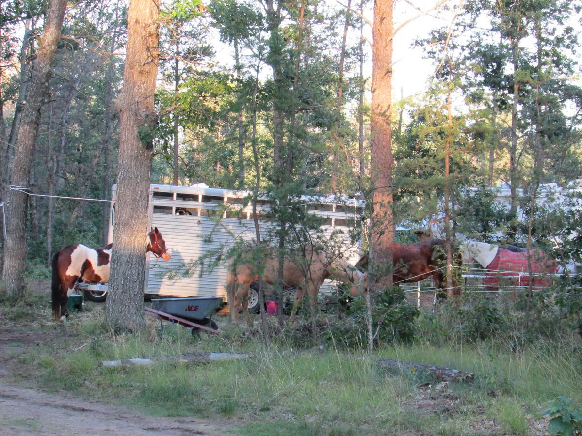 Best Bear Lodge & Campground Irons Kültér fotó