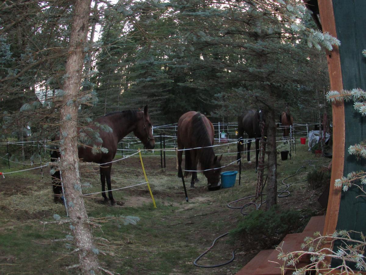 Best Bear Lodge & Campground Irons Kültér fotó